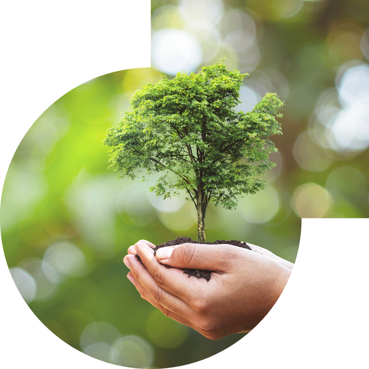 关怀人类、文化、环境与社会